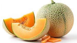 Rock Melon (Long)